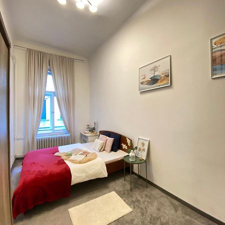 Sziv Apartment - Modern And Comfortable Budapest Eksteriør billede