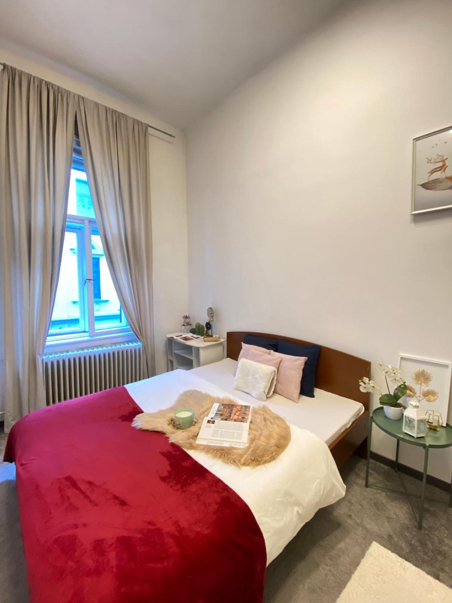 Sziv Apartment - Modern And Comfortable Budapest Eksteriør billede